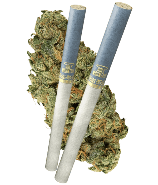 A bud of GMO Tropical Reign with two pre-rolls.