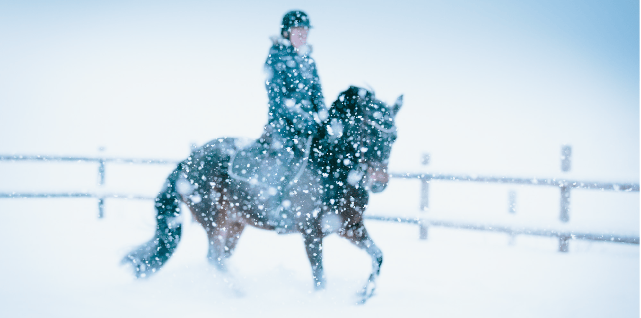 Working animal, Dog breed, Horse, Snow, Toy, Sky