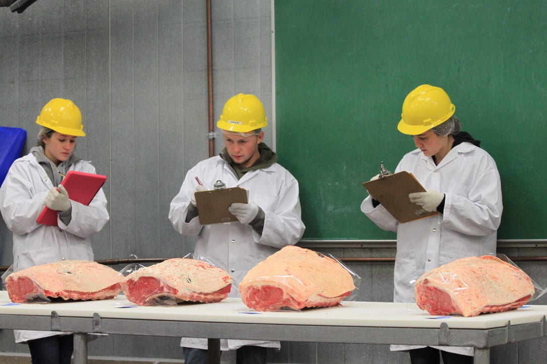 Food, Workwear, Headgear