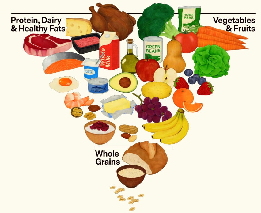 Food pyramid illustrating categories: Protein, Dairy & Healthy Fats, Vegetables & Fruits, Whole Grains.