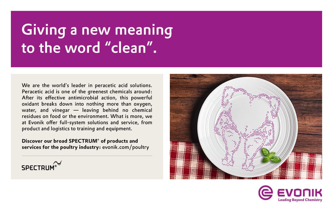 Dishware, Tableware, Purple, Font, Violet
