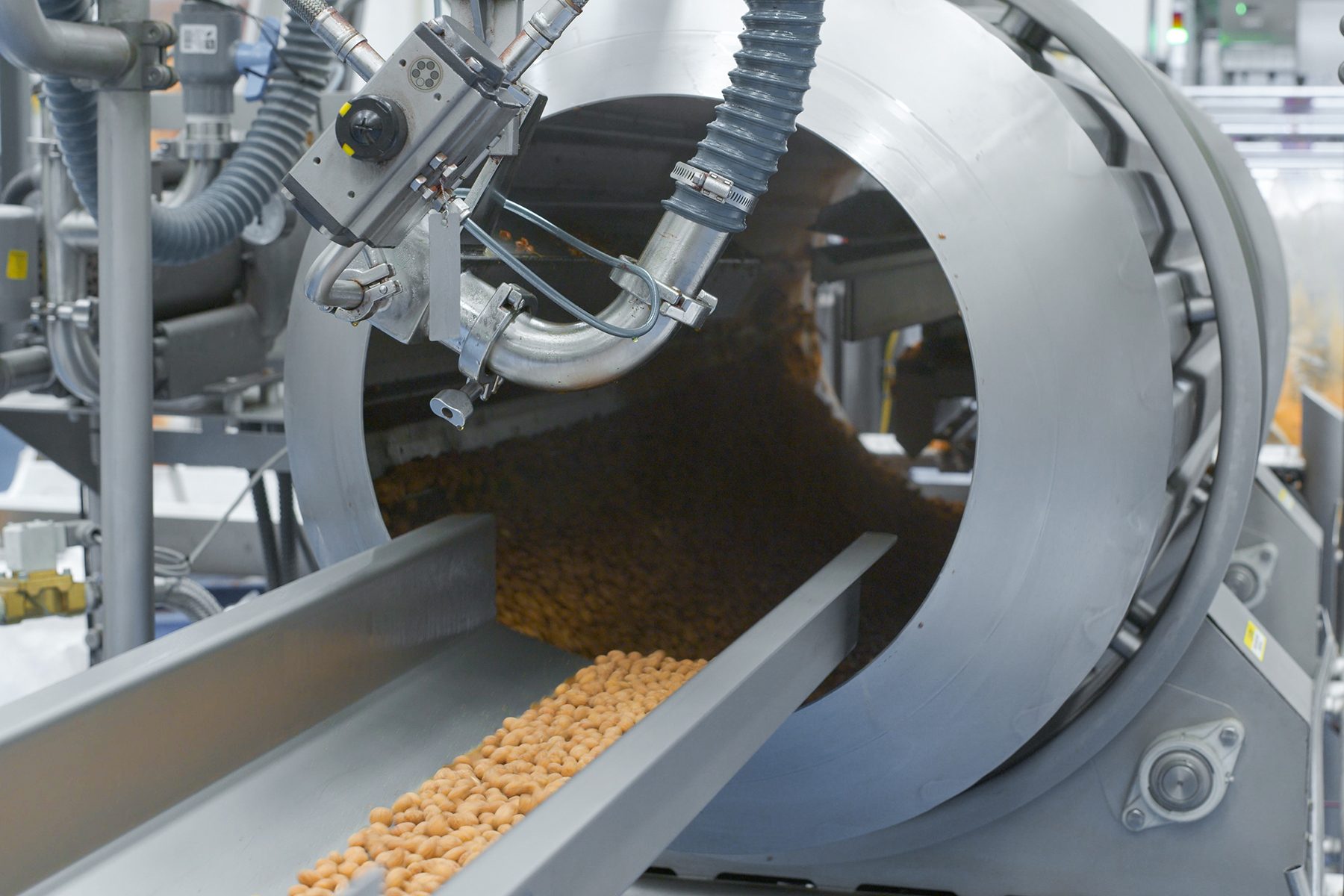 Small food items on a conveyor, exiting a large industrial food tumbler.