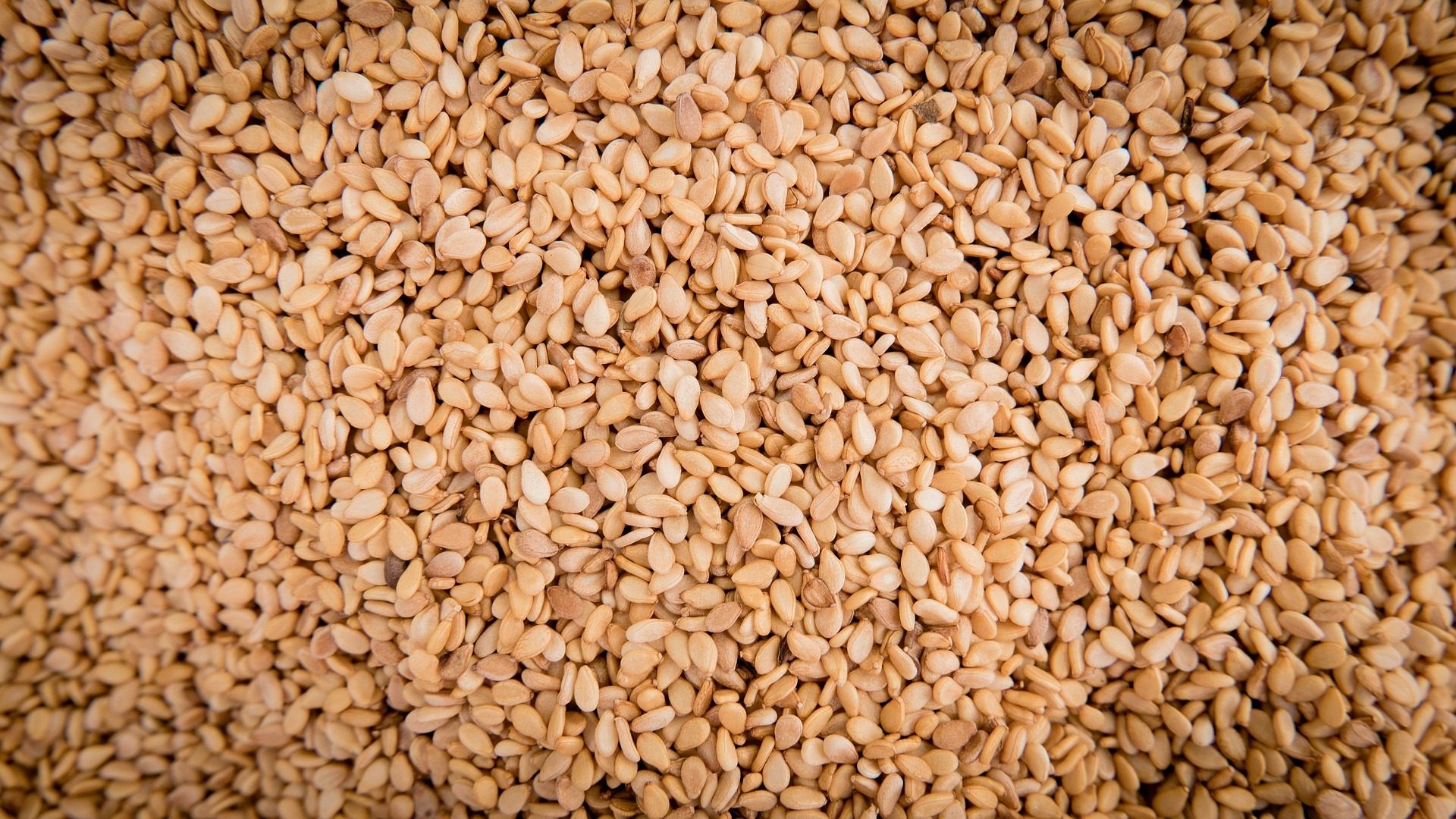Seed, Plant