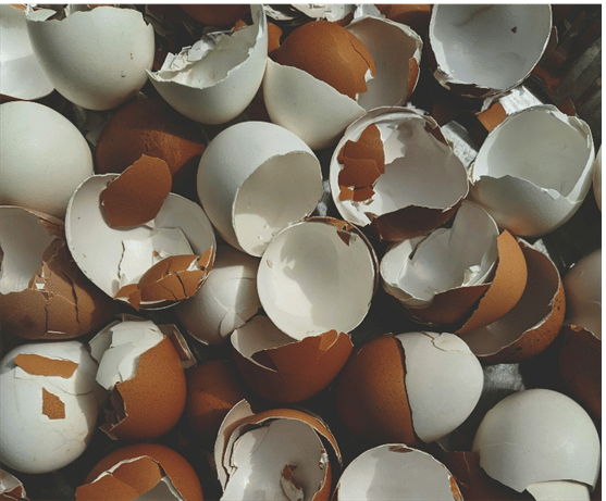 Broken white and brown eggshells.