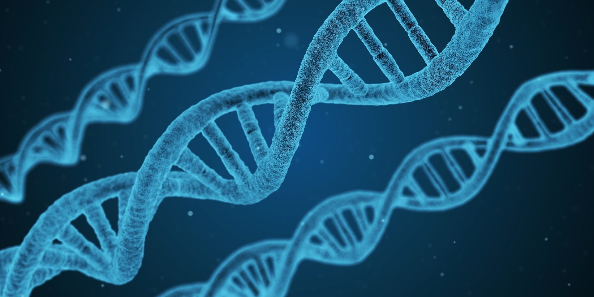 Human body, Azure, Organism, Font
