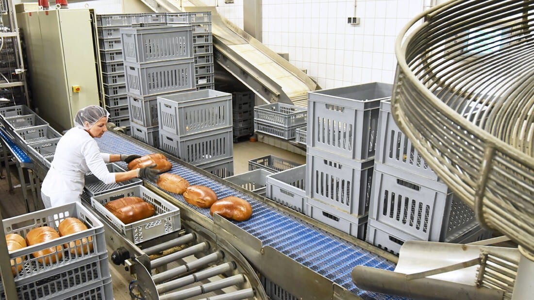 Worker in a commercial bakery placing freshly baked bread loaves into crates on an automated conveyor belt system.