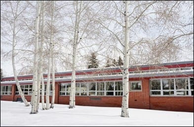 Rolling stock, Sky, Building, Window, Snow, Tree