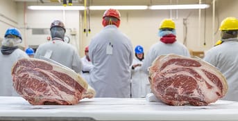 Food, Vertebrate, Butcher, Sleeve
