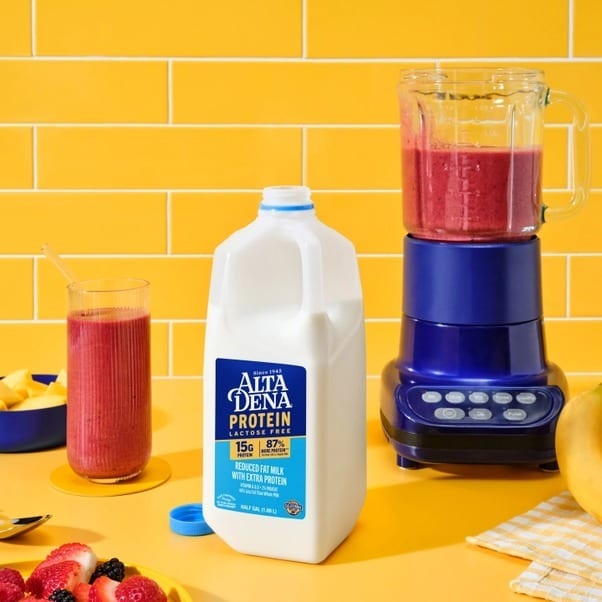 Alta Dena protein milk jug, blender with smoothie, glass, and fresh berries on a yellow background.