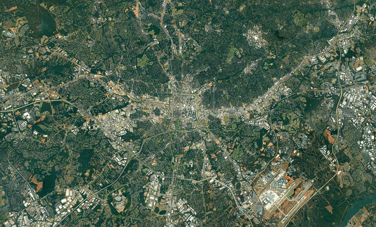 Terrestrial plant, Map