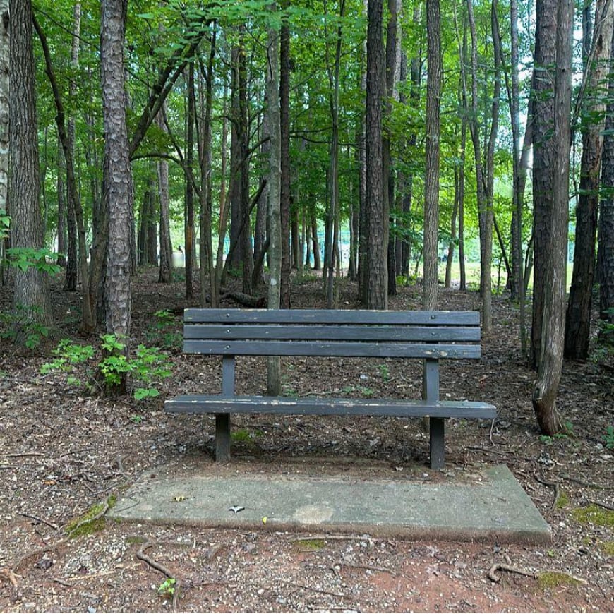 Outdoor bench, Natural landscape, Street furniture, Plant, Tree, Wood, Grass