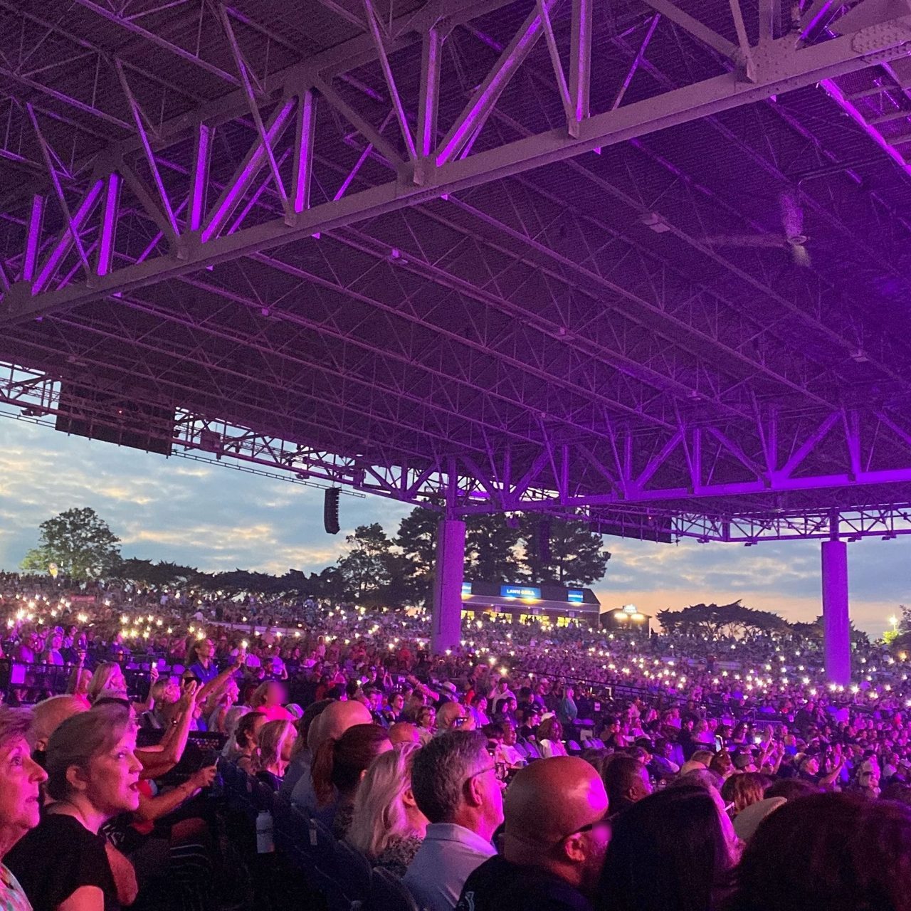 Purple, Light, Sky, World, Entertainment, Plant, Pink, Crowd, Violet, Hat