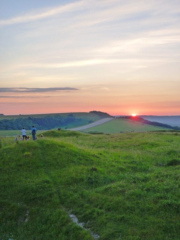 Sunset over green hills with people and dogs in the foreground.
