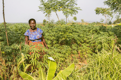 People in nature, Plant community, Sky, Agriculture, Farmer, Grassland