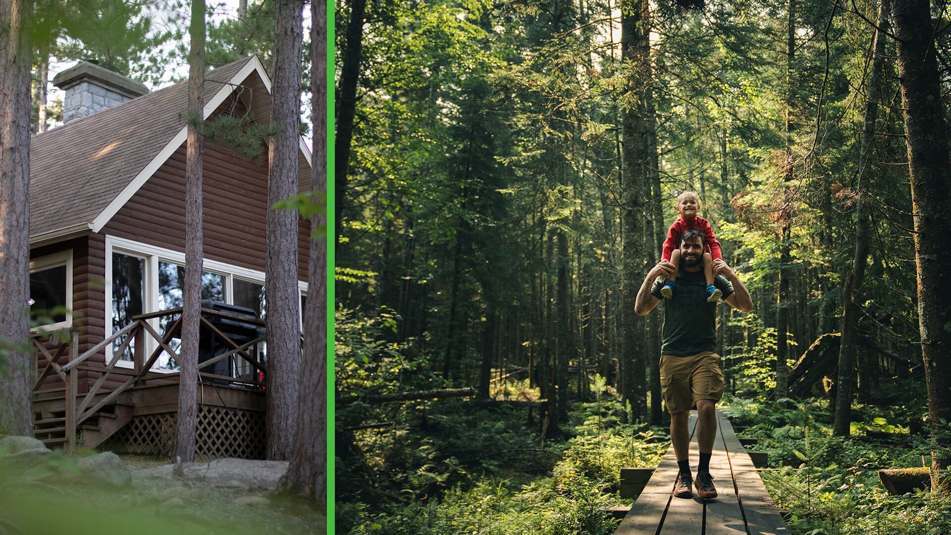 People in nature, Terrestrial plant, Window, Building, Tree, Wood, House, Biome, Grass
