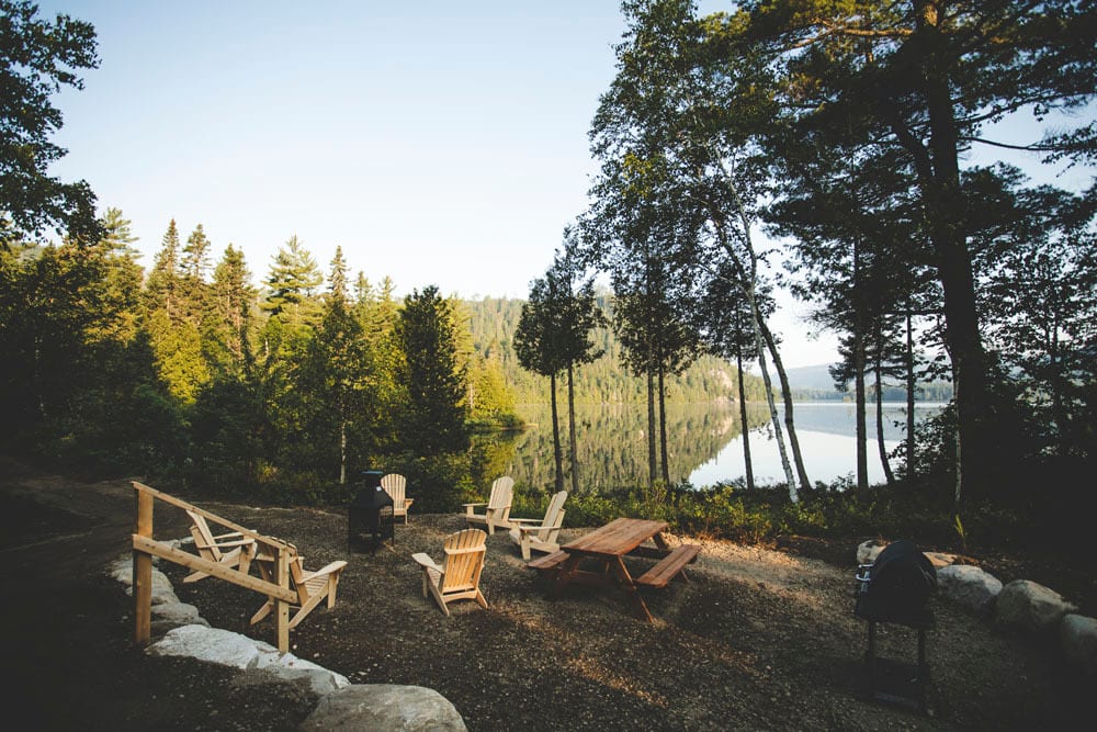 Natural landscape, Woody plant, Sky, Wood, Sunlight, Grass, Tree