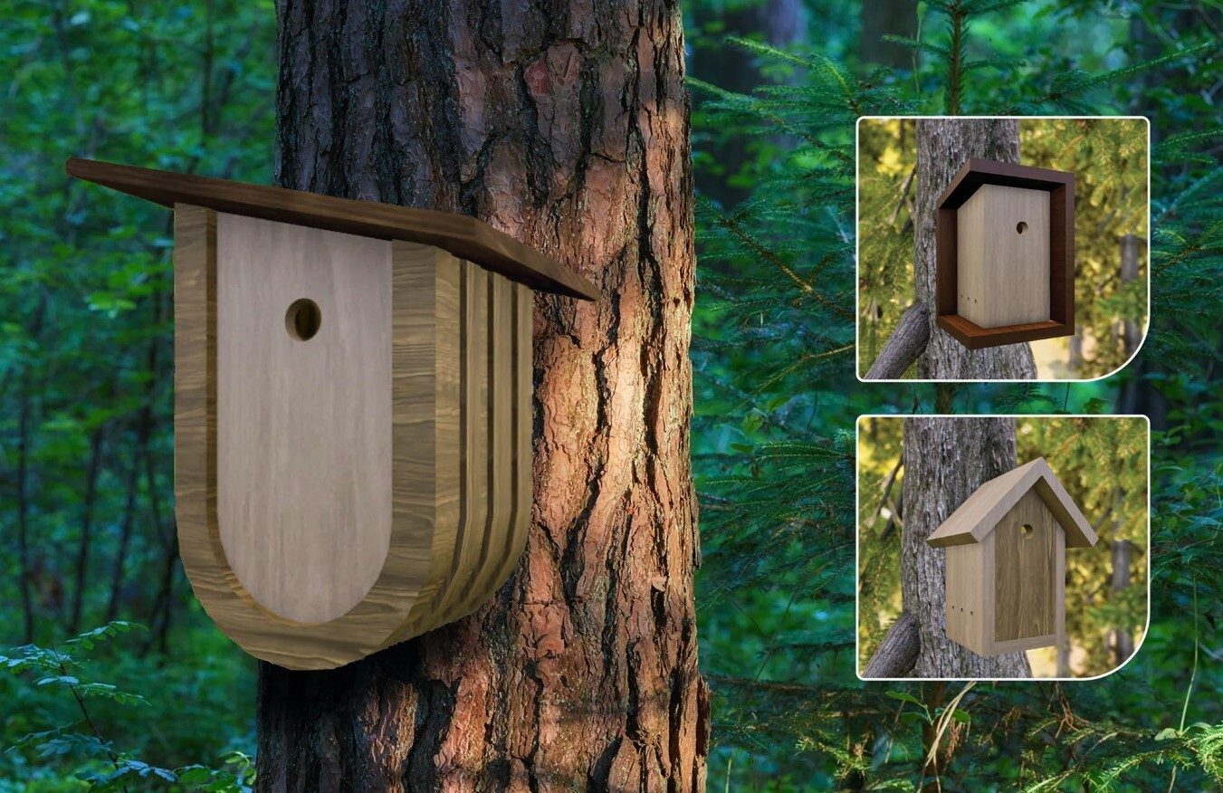 Nest box, Wood, Trunk
