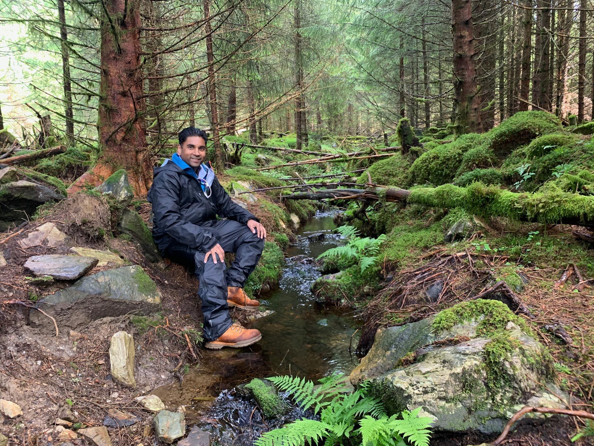 Natural environment, Leaf, Nature, Plants, Vegetation, Wilderness, Forest, Recreation, Rock, Adventure