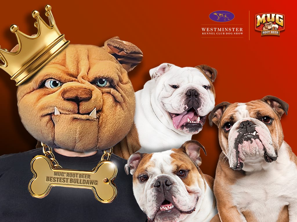 Carnivores, Bulldog, Snout, Tooth, Dog, Logo