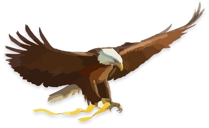 Bird, Accipitridae, Beak, Eagle, Falconiformes