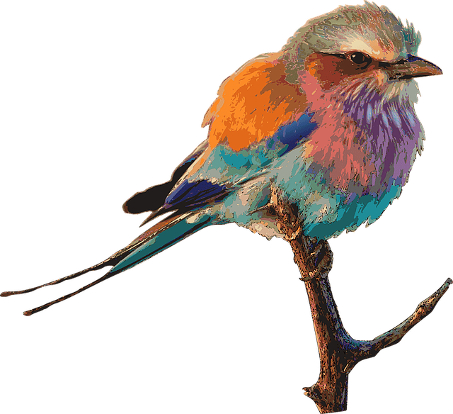 Bird, Beak, Feather, Roller, Painting, Twig
