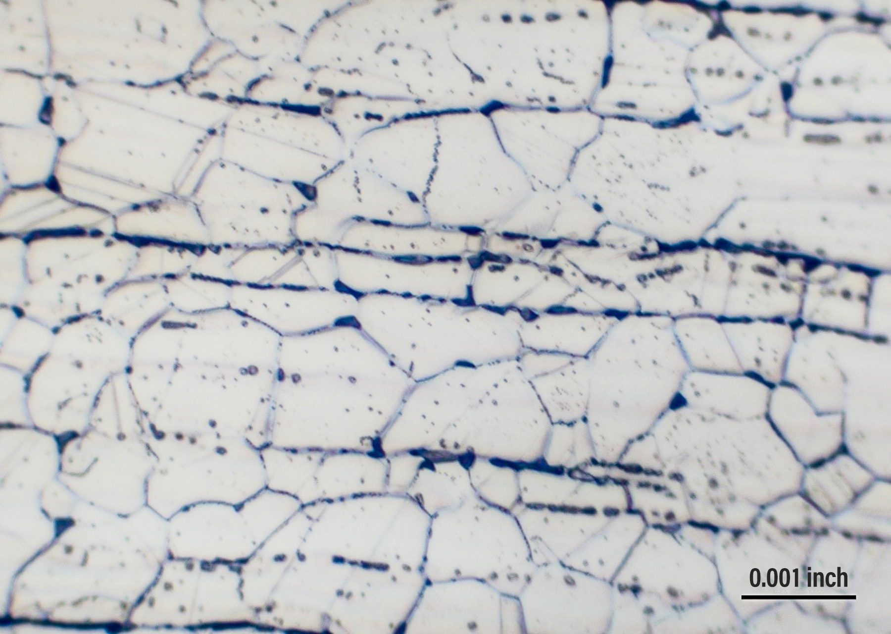 Fig 3 Sigma Phase Metallography