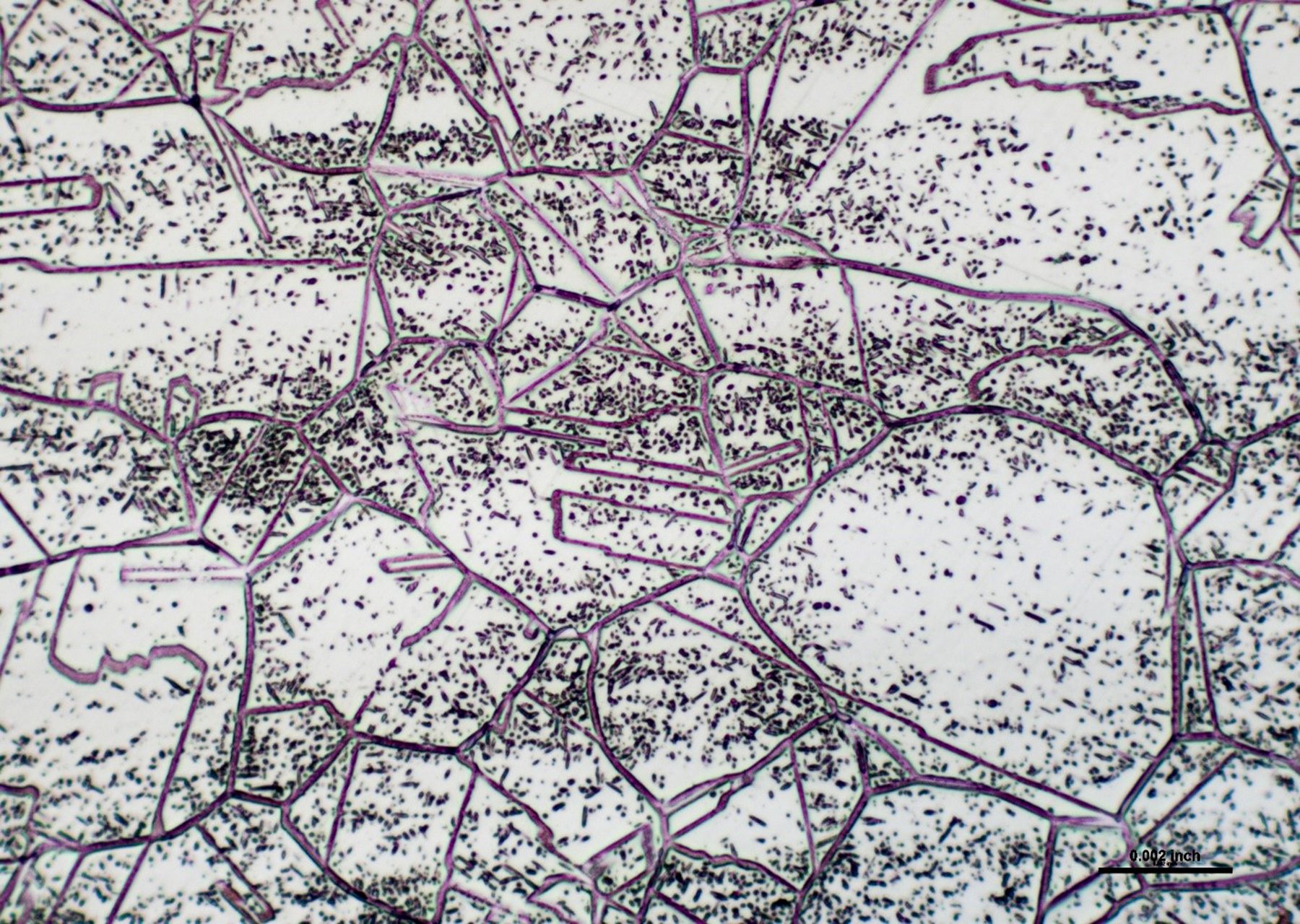 Fig 2 Sigma Phase Metallography