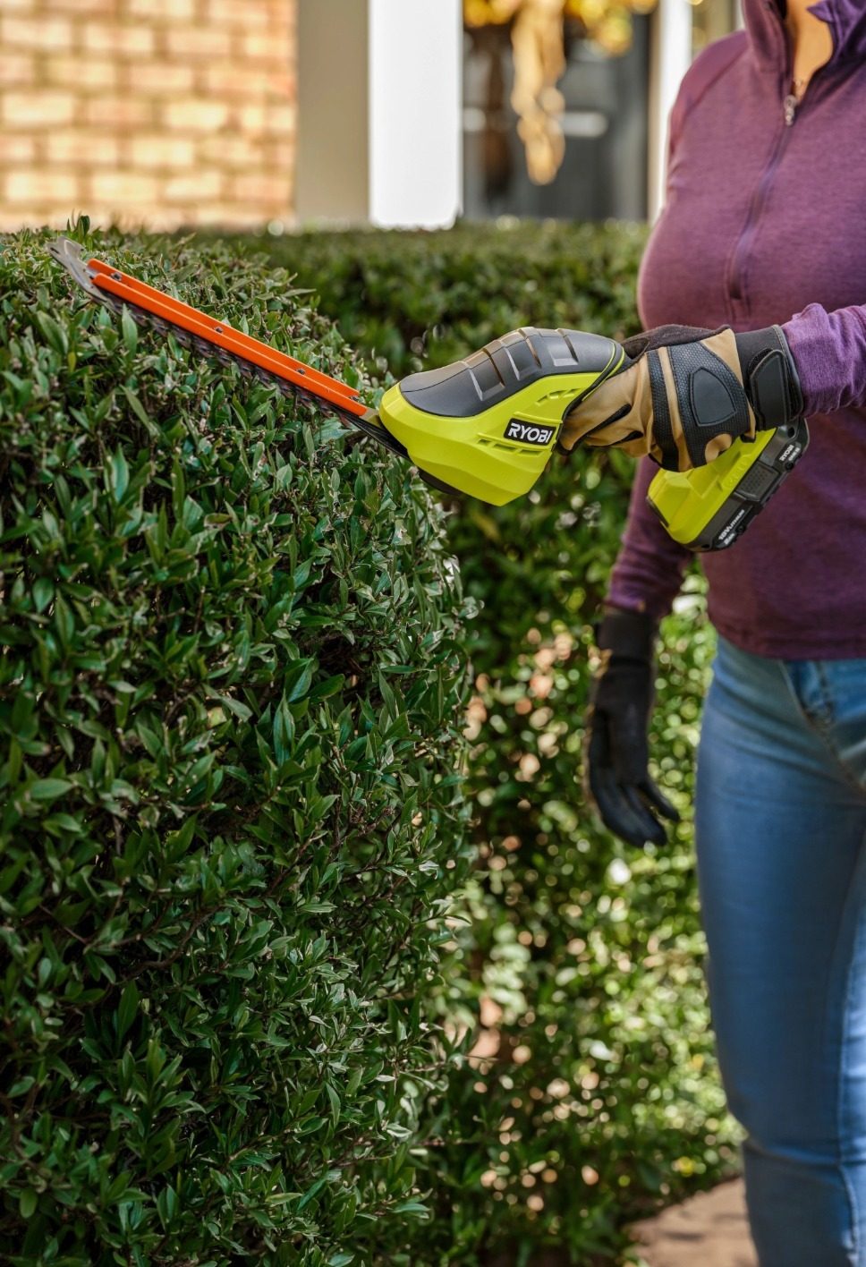 A person wearing gloves and a purple shirt is trimming a lush green hedge with a Ryobi cordless hedge trimmer.