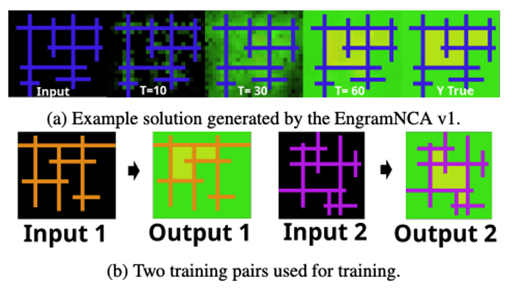 EngramNCA generating grid-filling solutions from input, and two training input/output pairs.