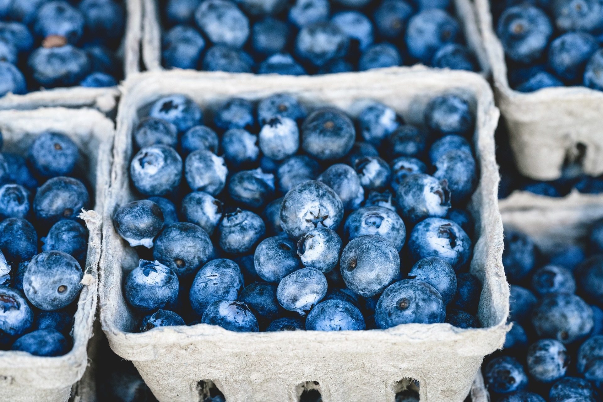 SURE-AI and REMA 1000 are working together to cut food waste 