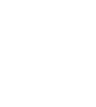 White double-lined shield outline.