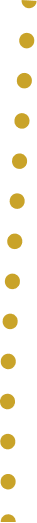 A vertical wavy line composed of gold oval shapes, arranged against a plain black background.