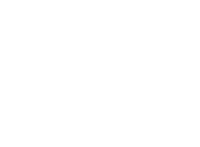 White outline of a stylized lion head with sun-like mane.