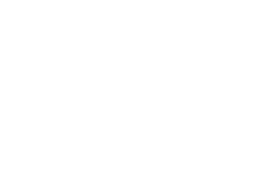 publicis logo