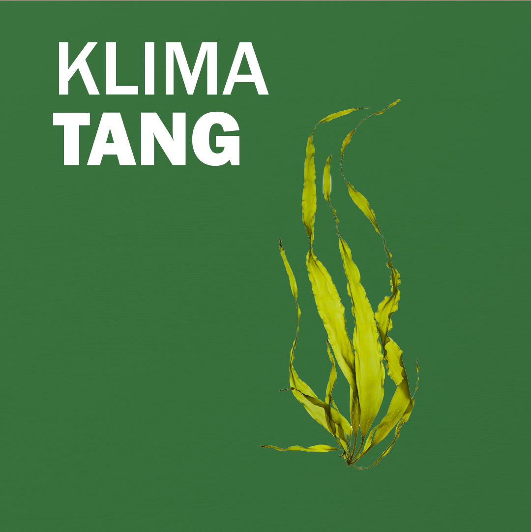 Terrestrial plant, Font