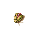 Insect, Arthropod, Plant, Beetle, Art