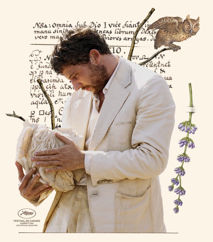 Human, Sleeve, Gesture, Plant, Collar