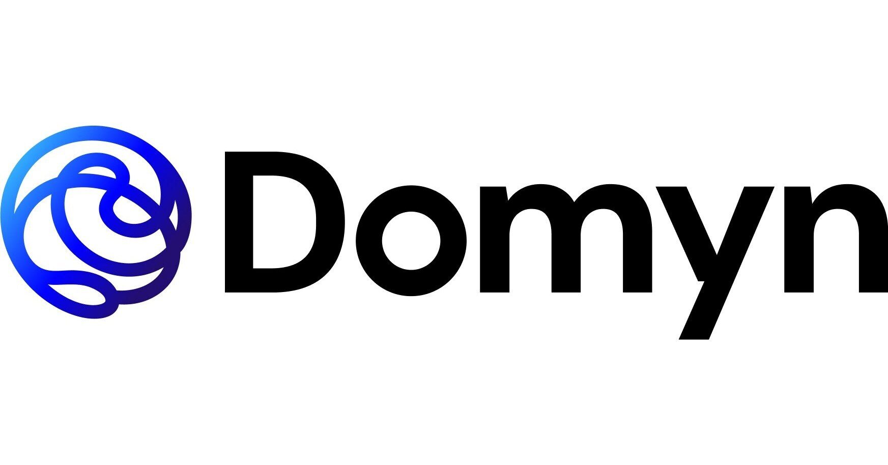 Domyn logo with a blue abstract swirling graphic and "Domyn" in black text.
