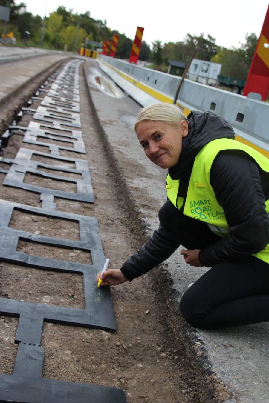 High-visibility clothing, Road surface, Asphalt, Tree