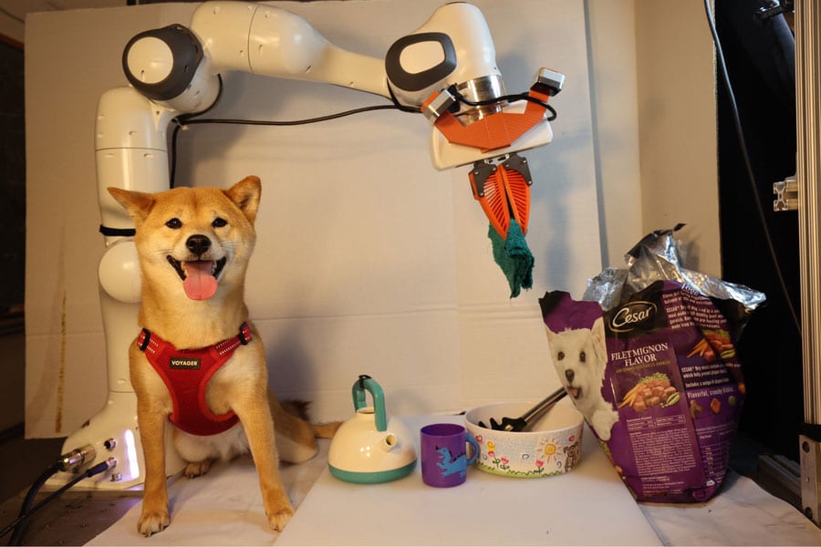 Picture frame, Dog, Art, Carnivore, Fawn