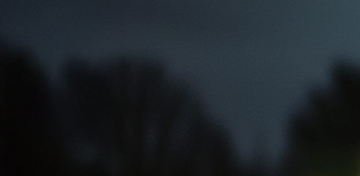Grainy, dark blue-grey blurry image of tree silhouettes against a dim sky.