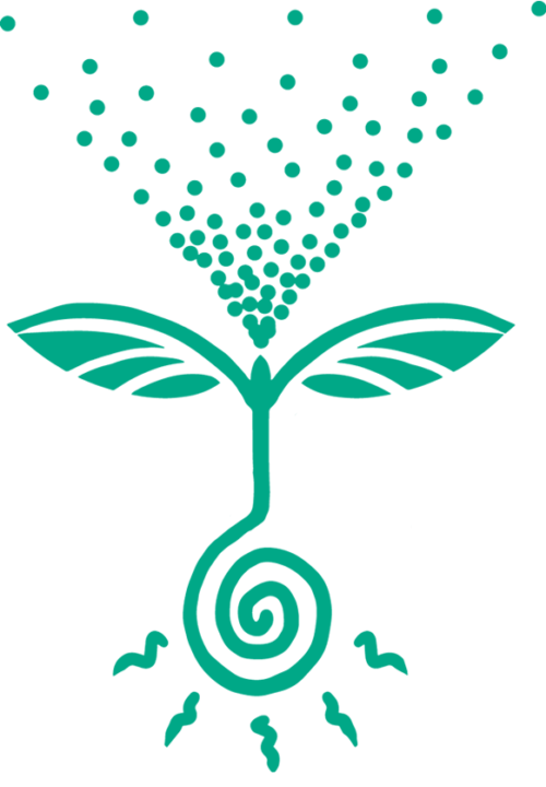 Terrestrial plant, Liquid, Fluid, Drinkware, Aqua, Font