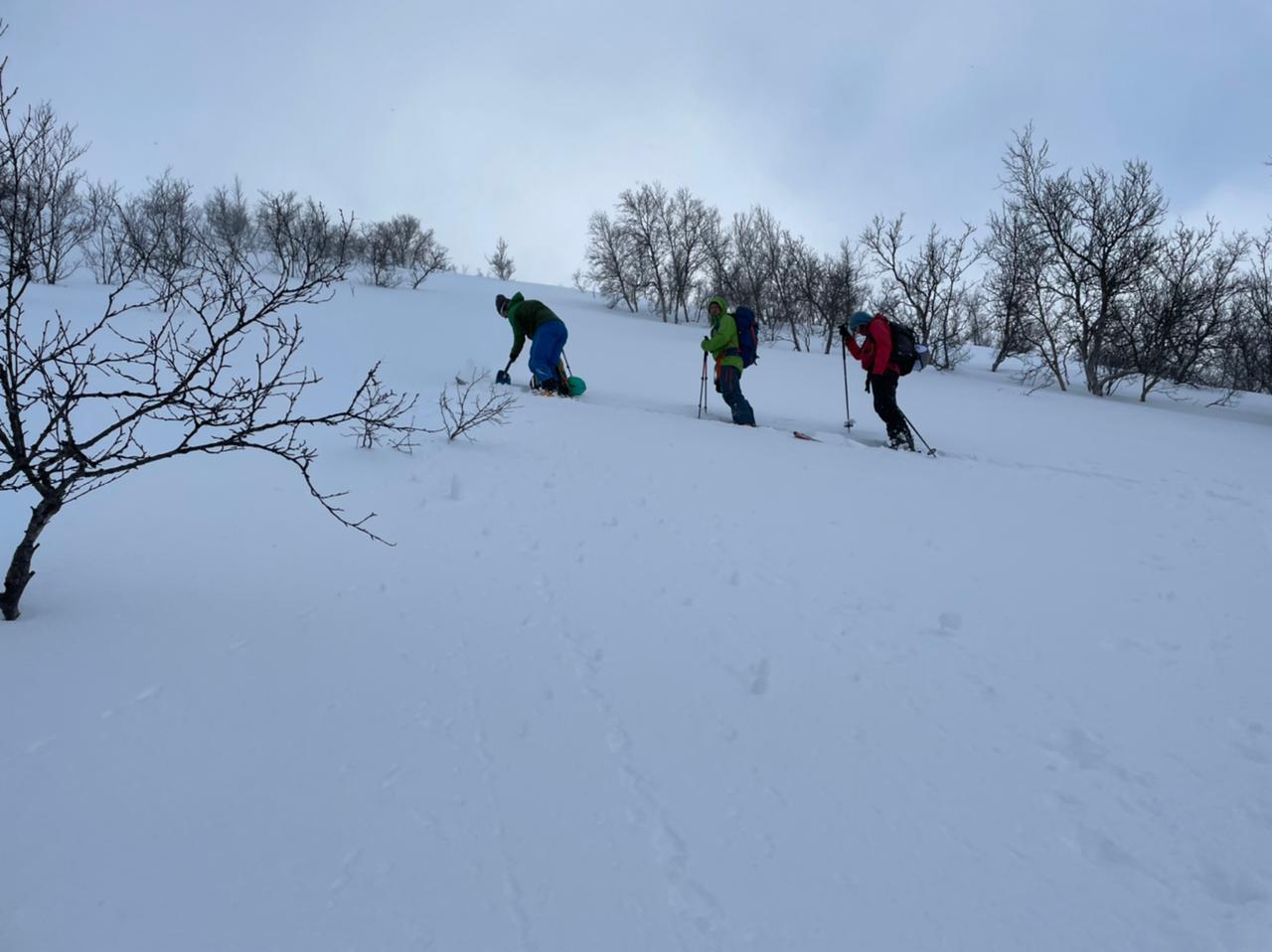 Ski Equipment, Outdoor recreation, Winter sport, Ice cap, Sky, Cloud, Snow, Slope, Tree, Terrain