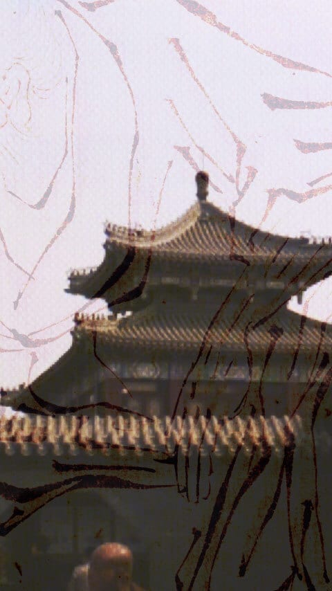 Woody plant, Branch, Wood, Twig, Wall, Pagoda