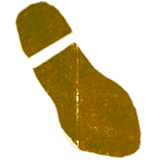 Butterfly, Pollinator