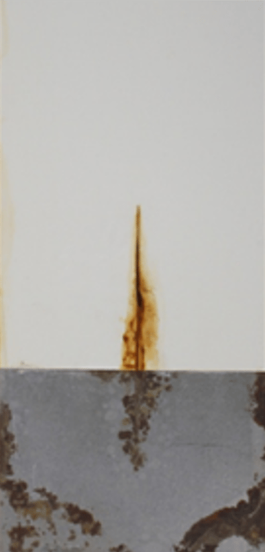 1,000-hour salt spray panels — medium oil soya alkyd primer 2 series (450 g/L VOC).