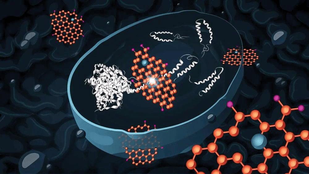 graphene oxide Alzheimer&#x2019;s disease