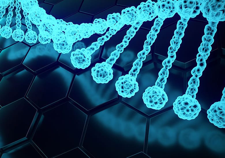 Liquid-Like Chromosome Coatings Reveal New Mechanism for Protecting DNA During Cell Division
