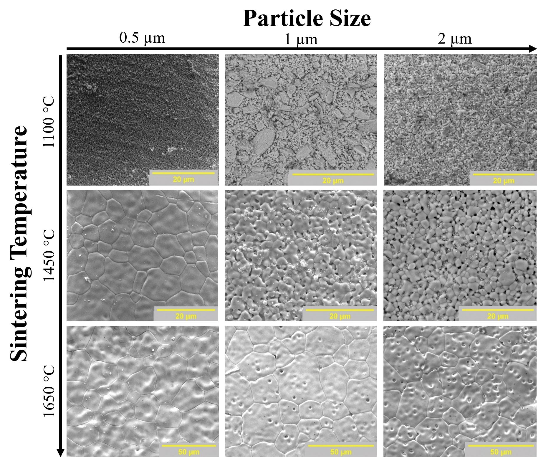 Effect of particle size and sintering temperature on the microstructure of 3D-printed ceria