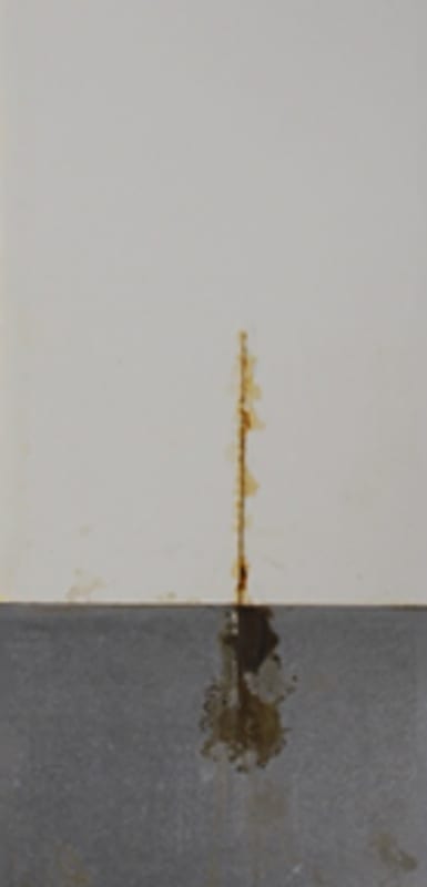 1,000-hour salt spray panels — short oil soya alkyd primer 3 series (450 g/L VOC).